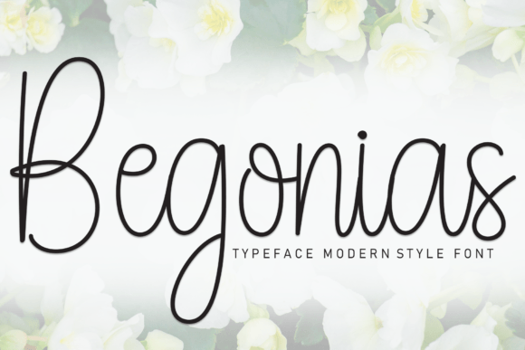 Begonias Font - Featured Image