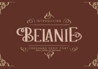 Belanie Font - Featured Image