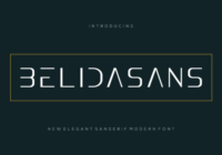 Belidasans Font - Featured Image