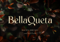 Bella Queta Font - Featured Image
