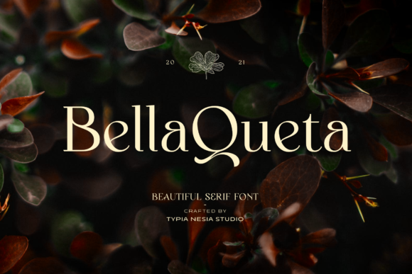 Bella Queta Font - Featured Image