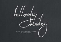Bellaigho Stanley Font - Featured Image
