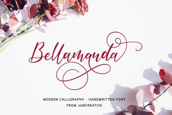 Bellamanda Script Font - Featured Image