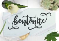 Bentonite Script Font - Featured Image