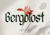 Bergolost Font - Featured Image