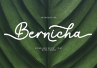 Bernicha Font - Featured Image