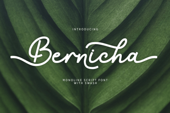 Bernicha Font - Featured Image
