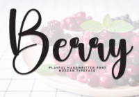 Berry Font - Featured Image