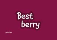 Best Berry Font - Featured Image
