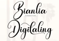 Bianlia Digitaling Font - Featured Image