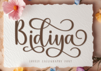 Bidiya Font - Featured Image
