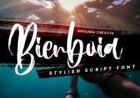Bienboia Font - Featured Image