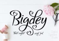 Bigdey Font - Featured Image
