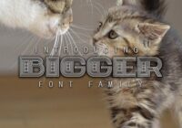 Bigger Font - Featured Image