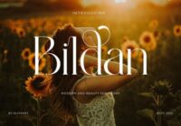 Bildan Font - Featured Image