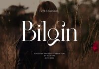 Bilgin Font - Featured Image