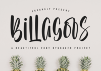 Billagoos Font - Featured Image