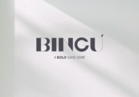 Bingu Font - Featured Image