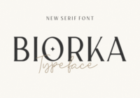 Biorka Font - Featured Image