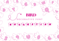 Bird Collestion Font - Featured Image
