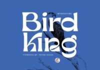 Bird King Font - Featured Image