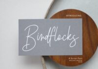 Birdflocks Script Font - Featured Image