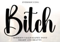 Bitch Font - Featured Image
