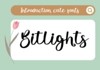 Bitlights Font - Featured Image