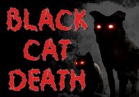 Black Cat Death Font - Featured Image