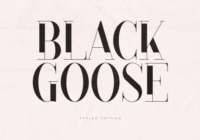 Black Goose Font - Featured Image