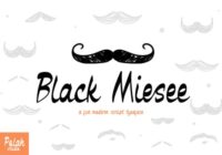 Black Miesee Font - Featured Image
