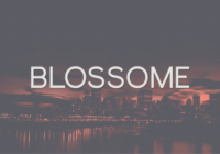 Blossome Font - Featured Image