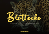 Blottocke Font - Featured Image