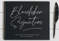 Blowfisher Signature Font - Featured Image
