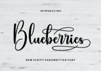 Blueberries Font - Featured Image