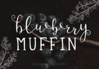 Blueberry Muffin Font - Featured Image