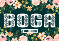 Boga Font - Featured Image