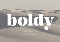 Boldy Font - Featured Image