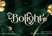 Bolight Font - Featured Image
