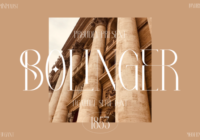 Bolinger Font - Featured Image