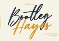 Bootleg Hayes Font - Featured Image