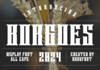 Borgoes Font - Featured Image