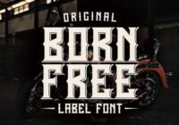 Born Free Font - Featured Image