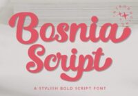Bosnia Script Font - Featured Image