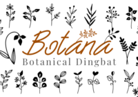 Botana Font - Featured Image