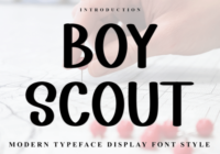 Boy Scout Font - Featured Image