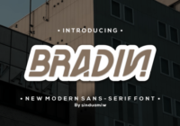 Bradin Font - Featured Image