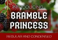 Bramble Princess Font - Featured Image