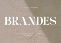 Brandes Font - Featured Image