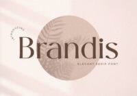 Brandis Font - Featured Image